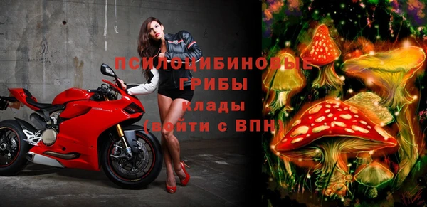 mix Белокуриха