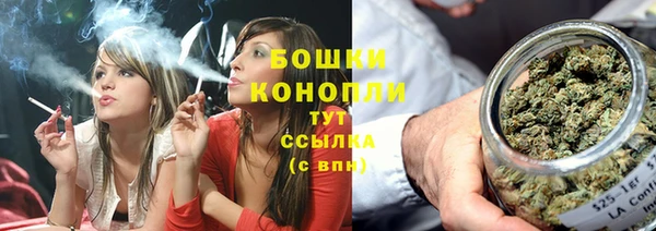 mix Белокуриха
