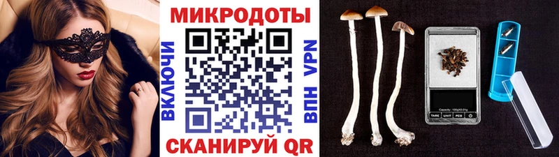 Псилоцибиновые грибы мицелий как найти закладки Павловск